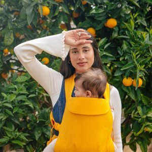 Clementine - Aerial Carrier